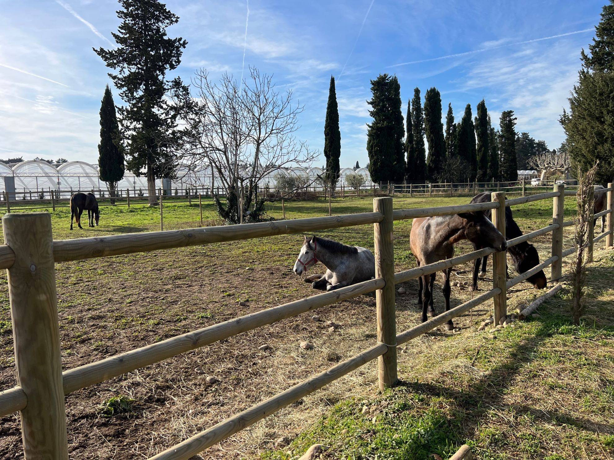 propriété équestre avignon