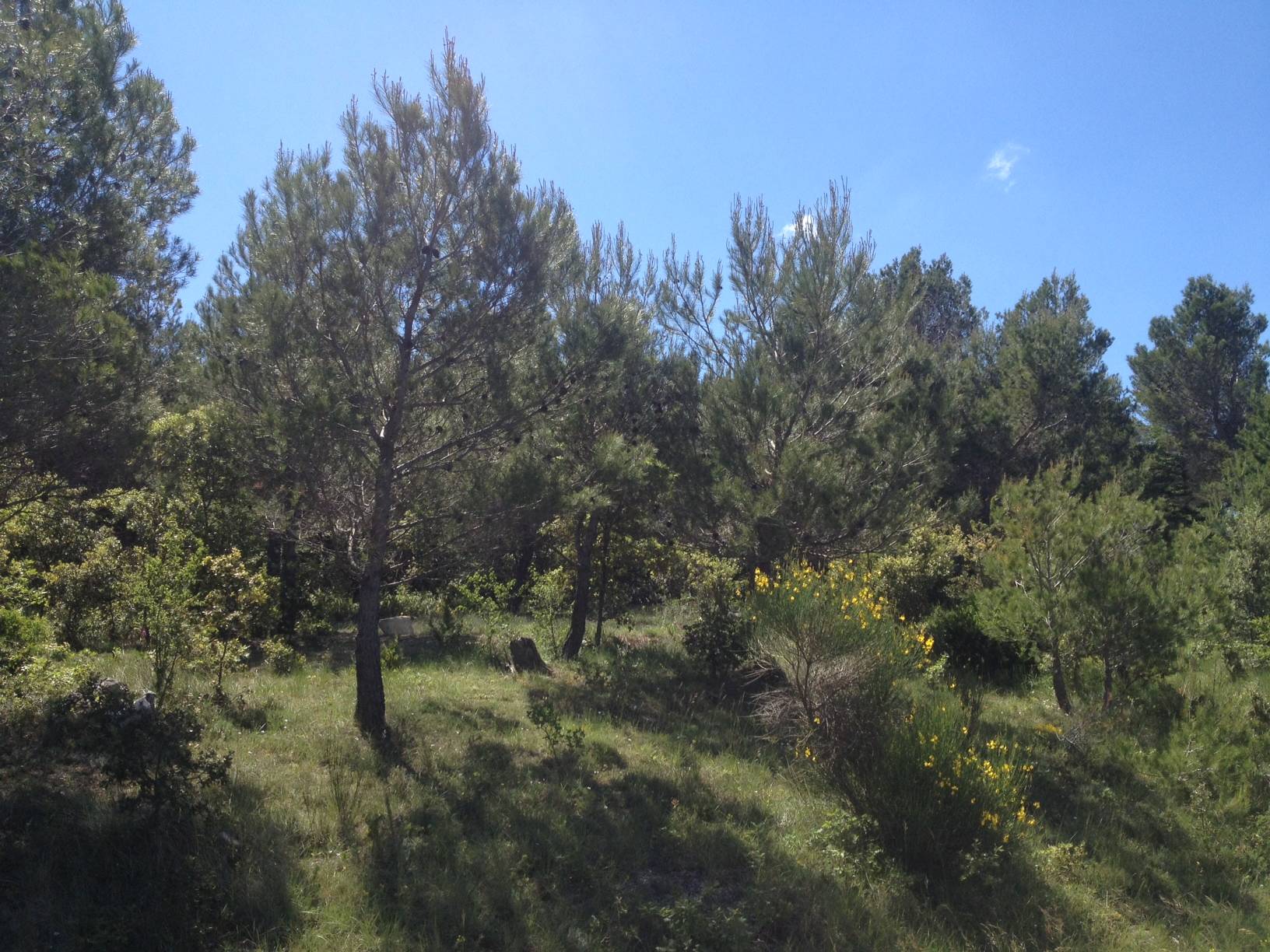 Murs terrain constructible à vendre