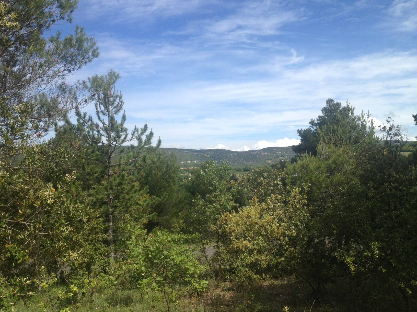 Terrain constructible à vendre dans le Luberon