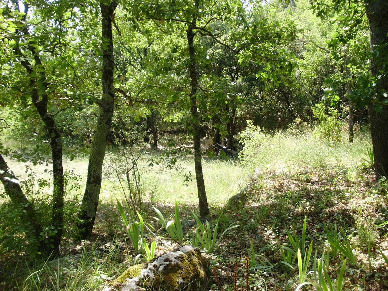 A vendre terrain à Goult