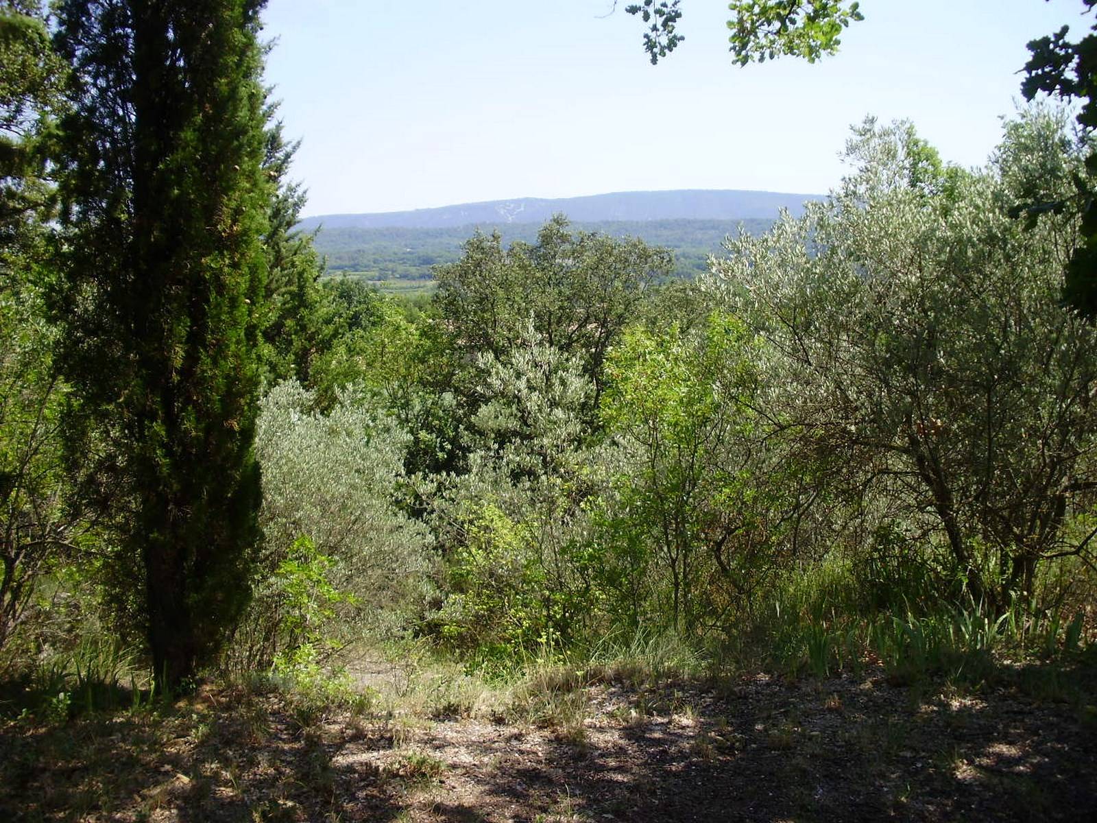 Terrain à Goult avec vue panoramique