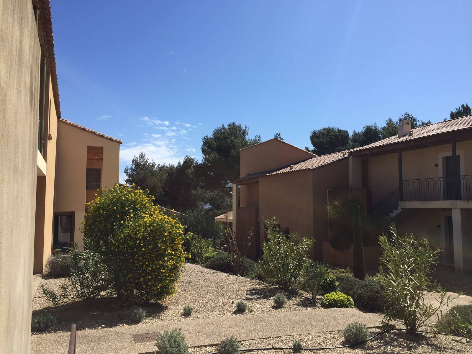 Golf de Saumane de Vaucluse apparetemnt à vendre par l'immobilière du Luberon