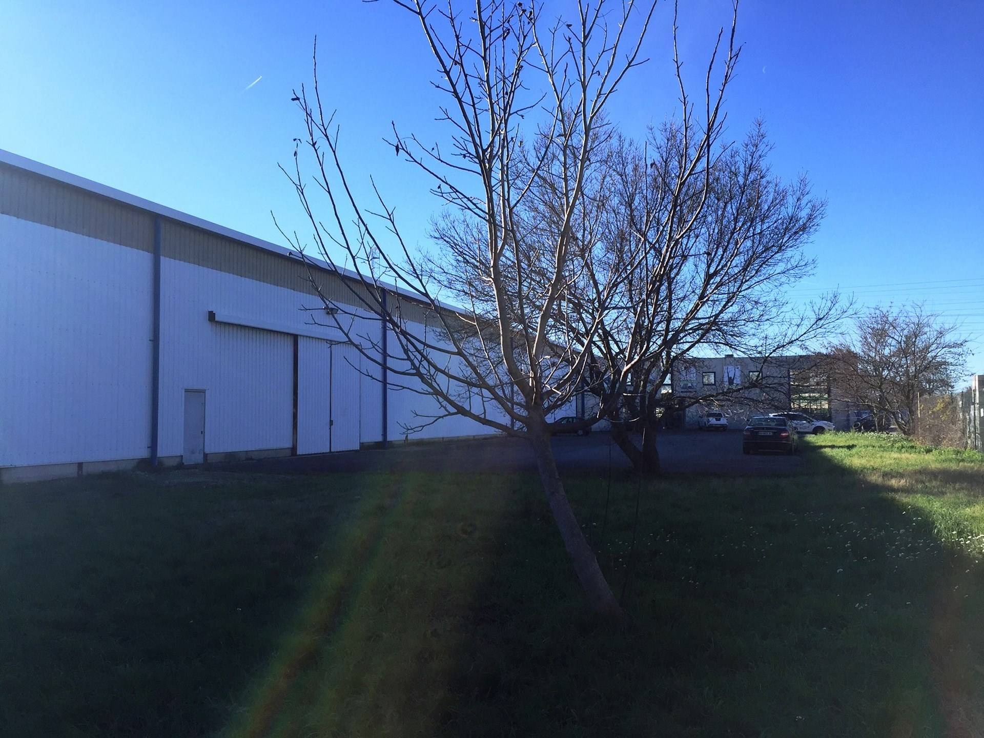 Avignon murs commerciaux à vendre