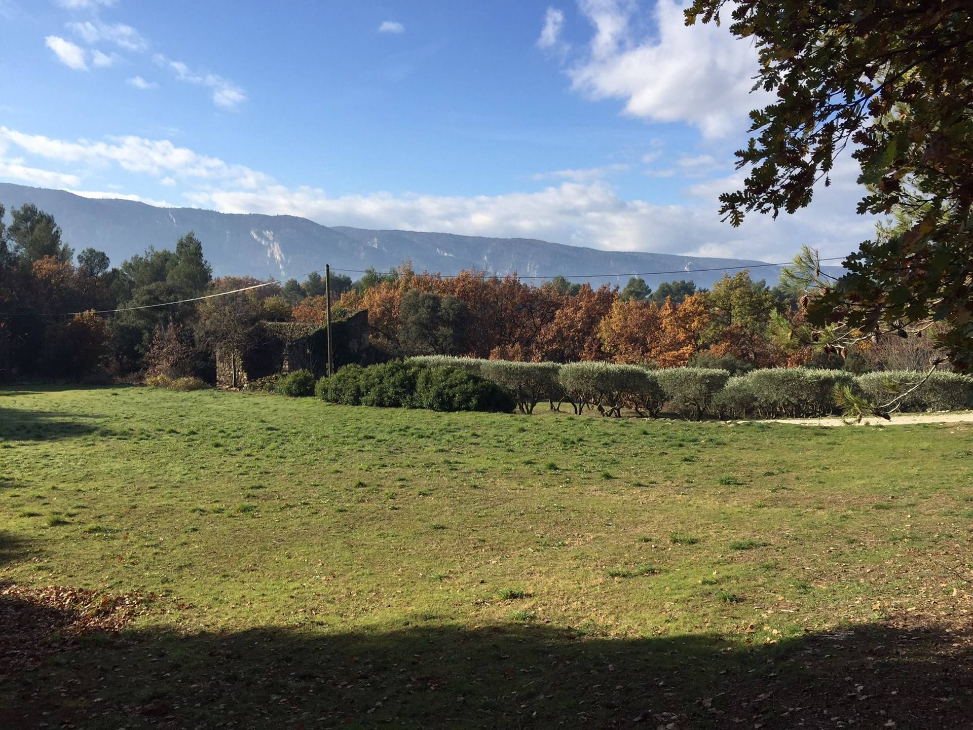 Menerbes exclusivité Immobilière du Luberon