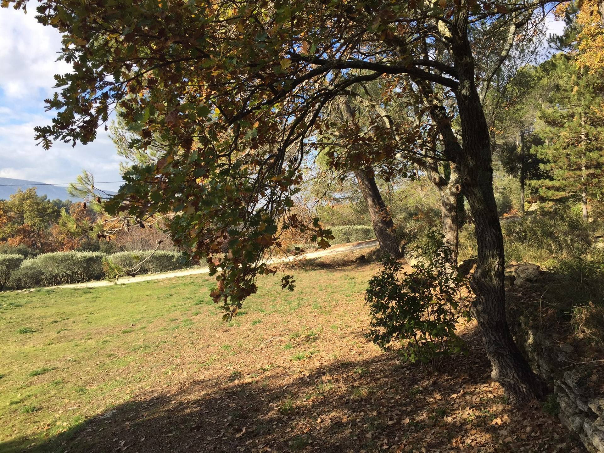 A vendre terrain constructible à Menerbes