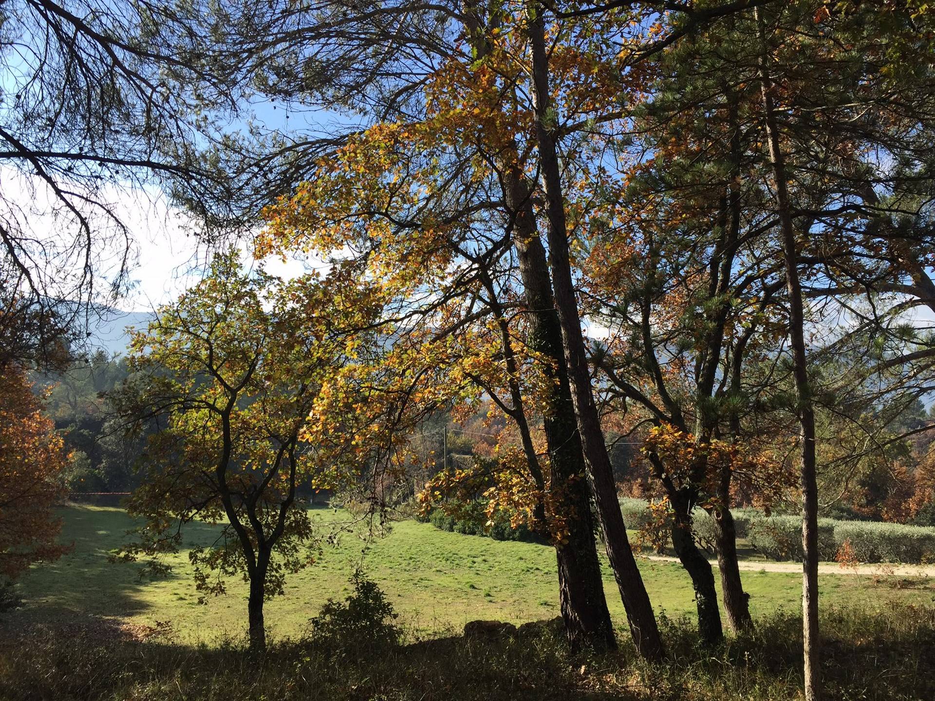 acheter un terrain dans le Luberon