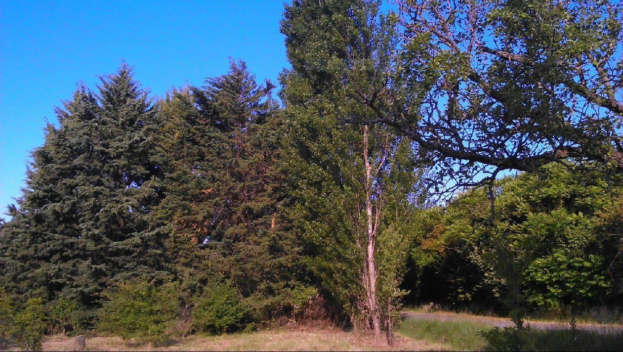 Terrai à Gordes avec permis de construite obtenu