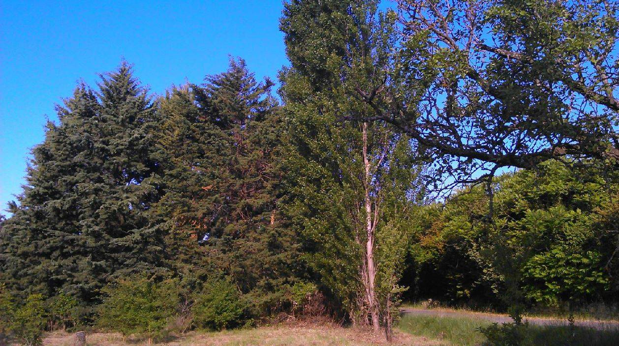 Terrain constructible à vendre à Gordes avec une vue panoramique