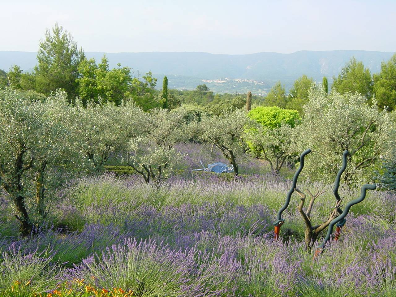 A vendre propriété avec vue panoramique sur le Luberon