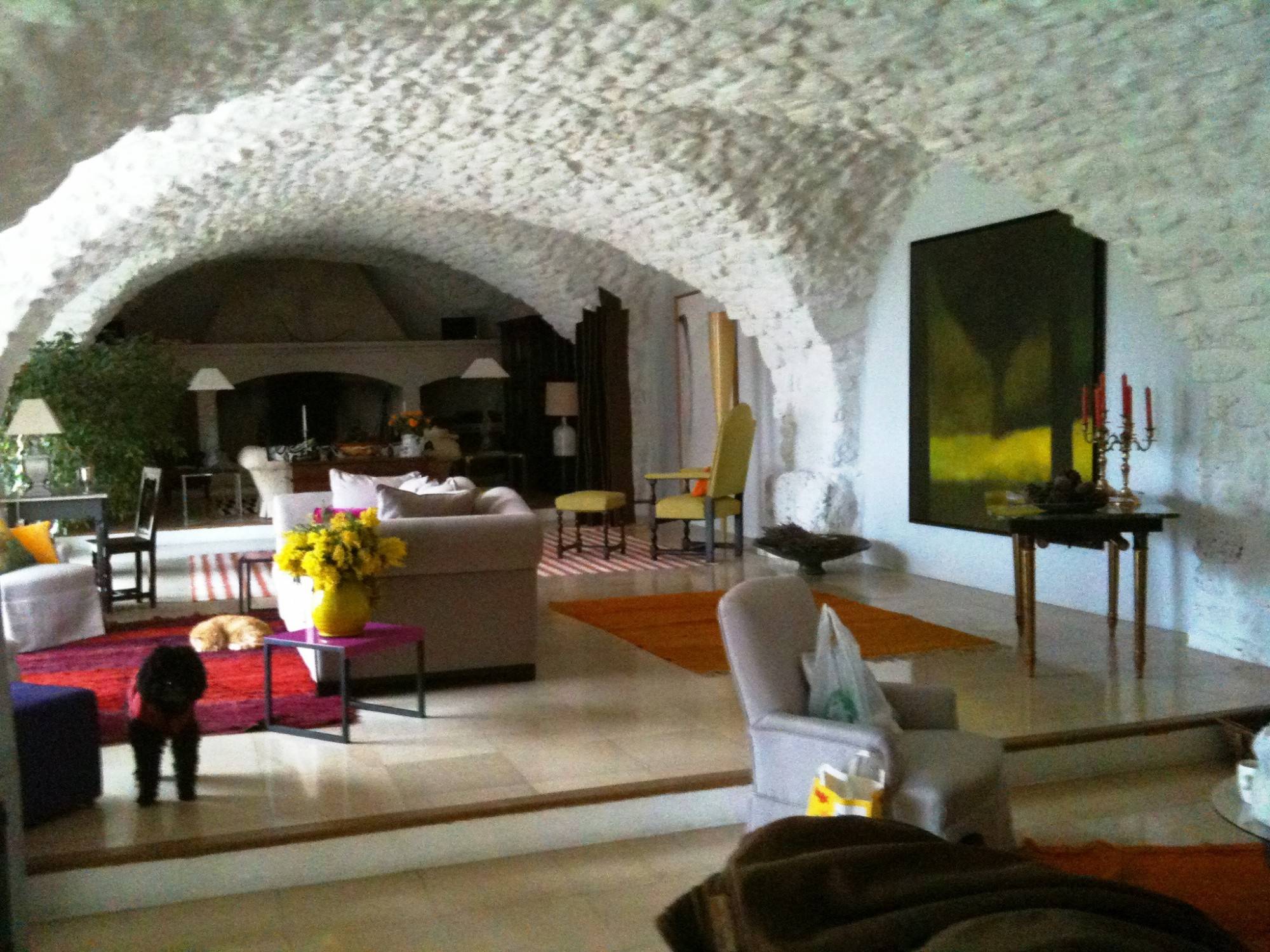 Double salon vouté avec cheminée dans cette propriété à vendre dans la Drome