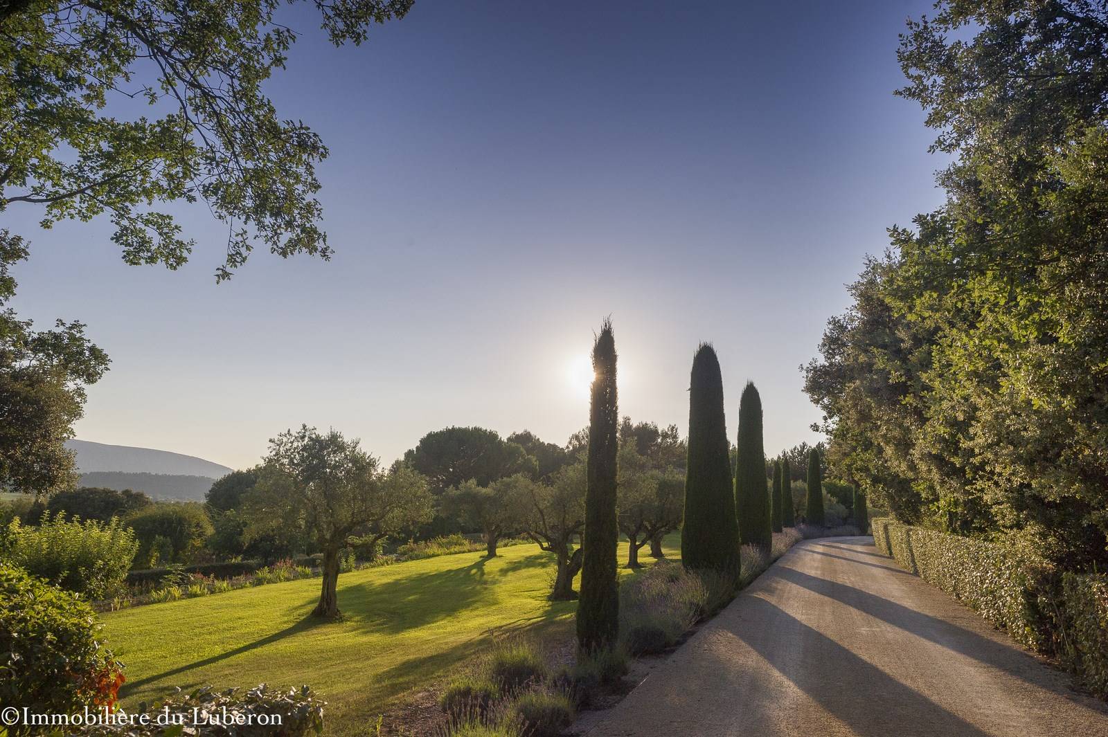 Golf privé dans cette luxueuse propriété à vendre à Ménerbes