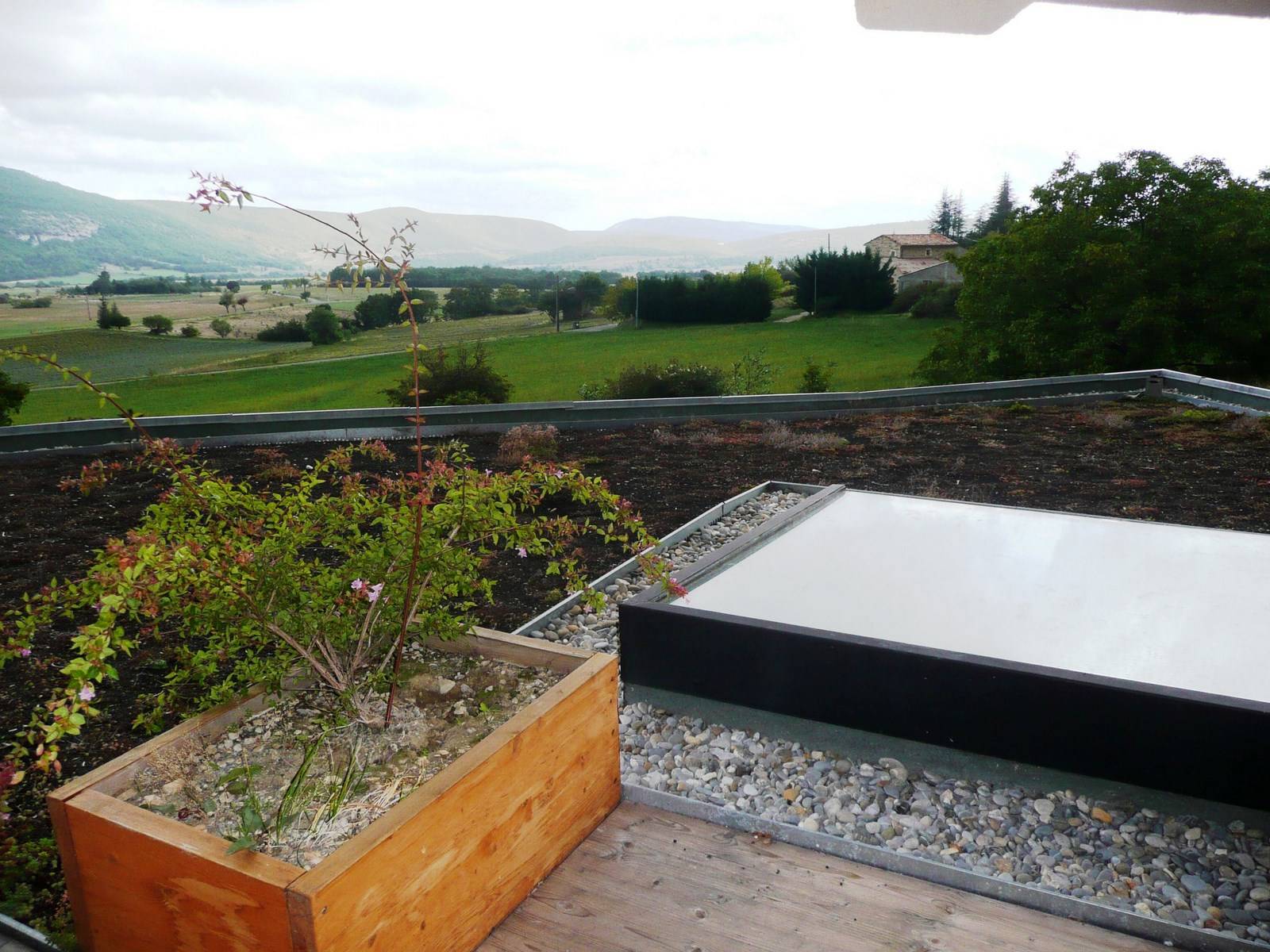 Maison contemporaine avec terrasse végétalisée