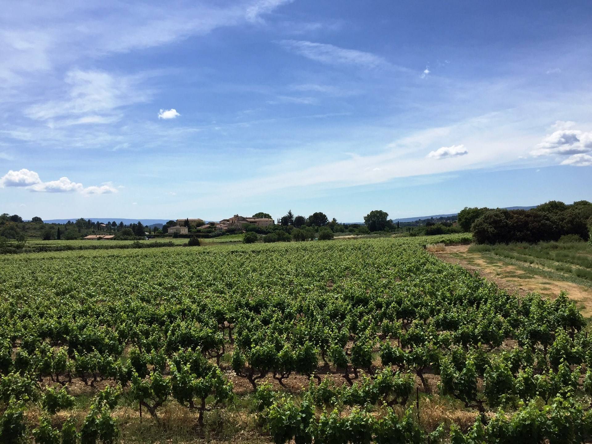 Bastide au coeur des vignes dans le luberon