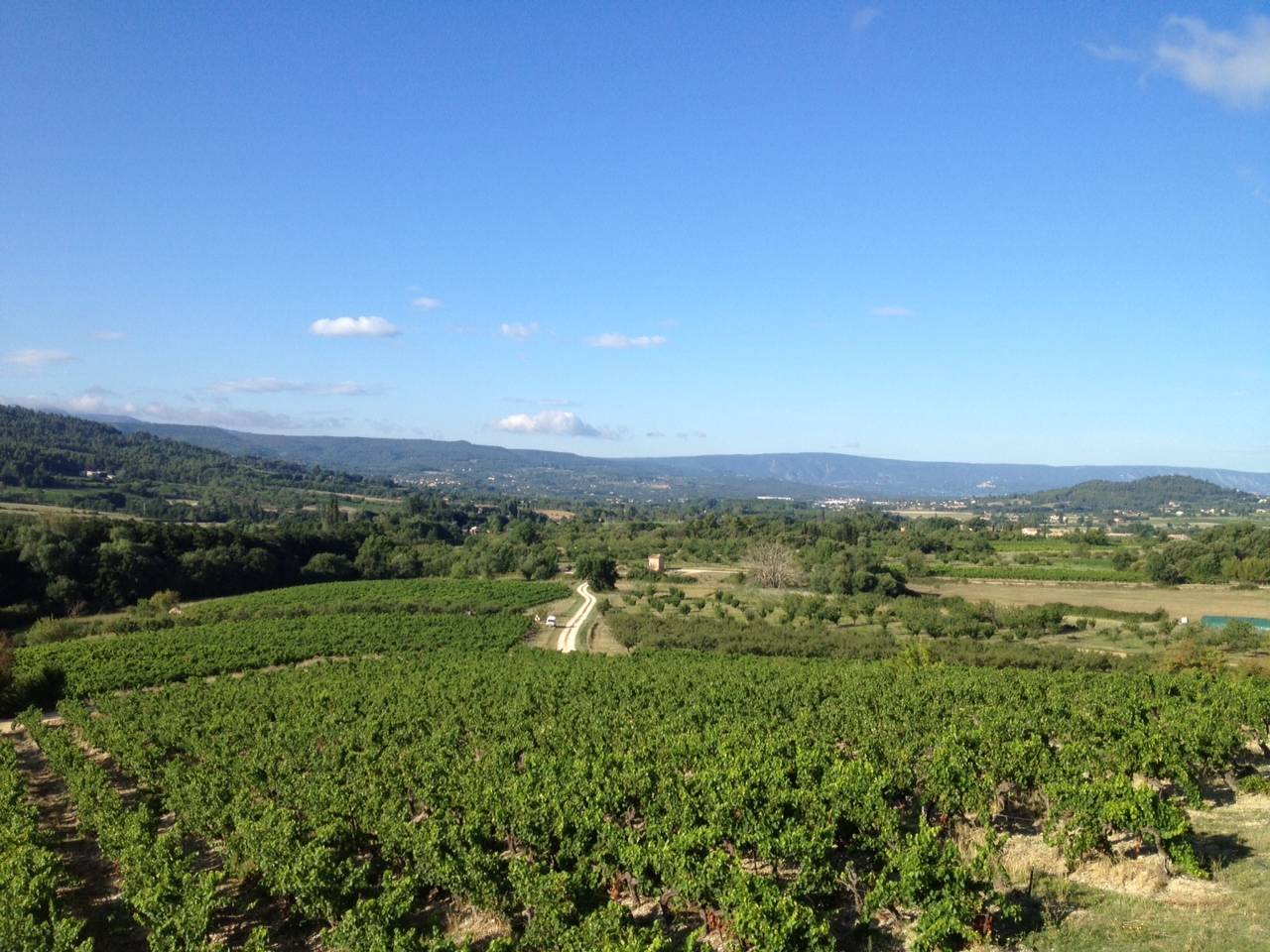 Maison d'architecte à vendre avec belle vue sur les vignes