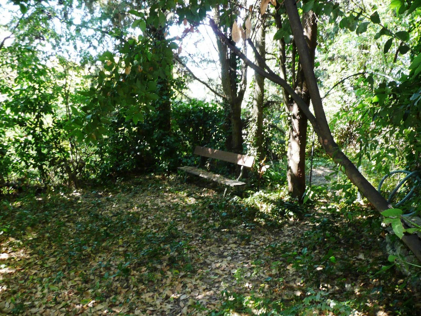maison de village avec un petit jardin ombragé