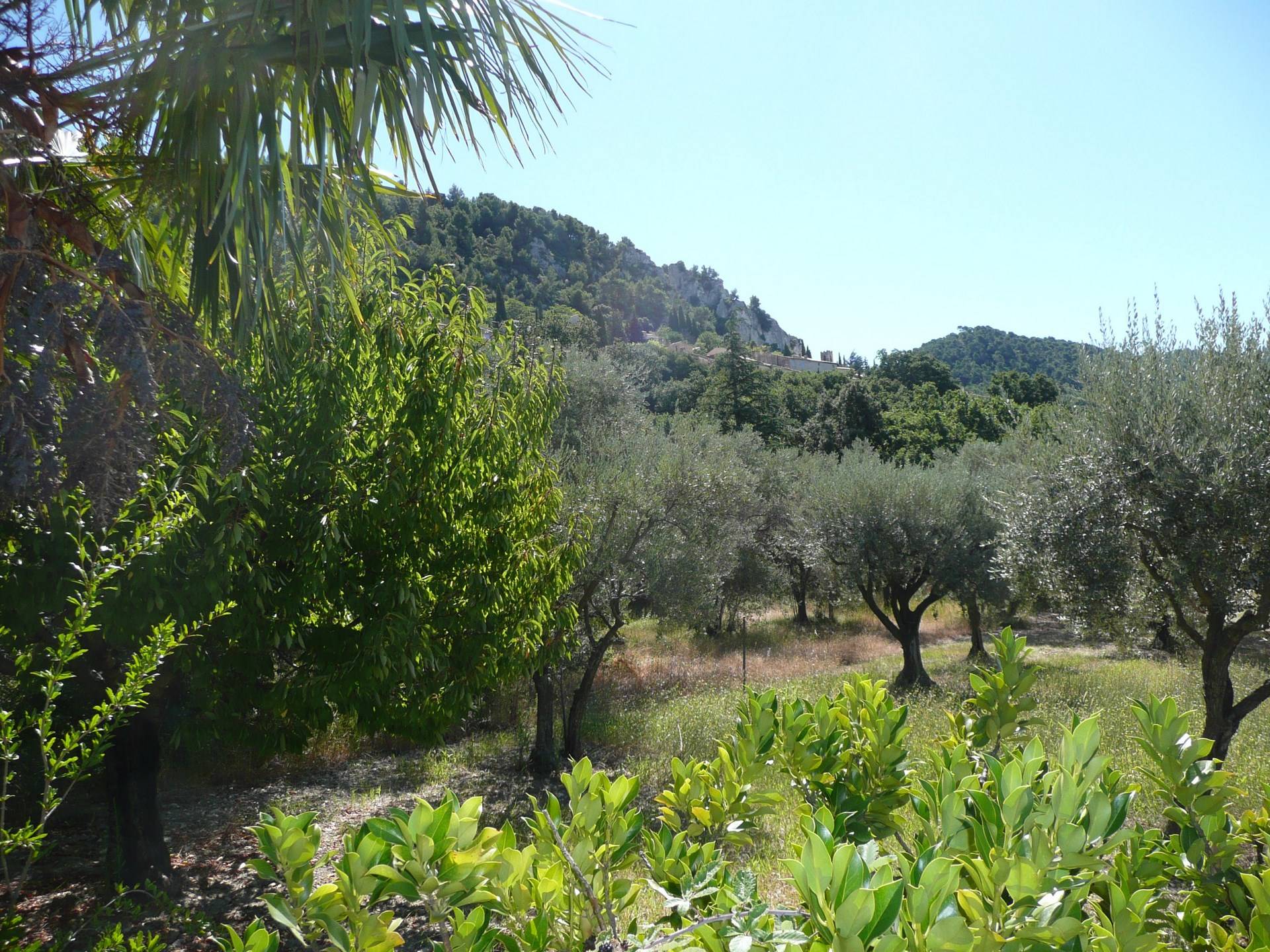 Demeure de village à vendre à SEGURET  avec une oliveraie