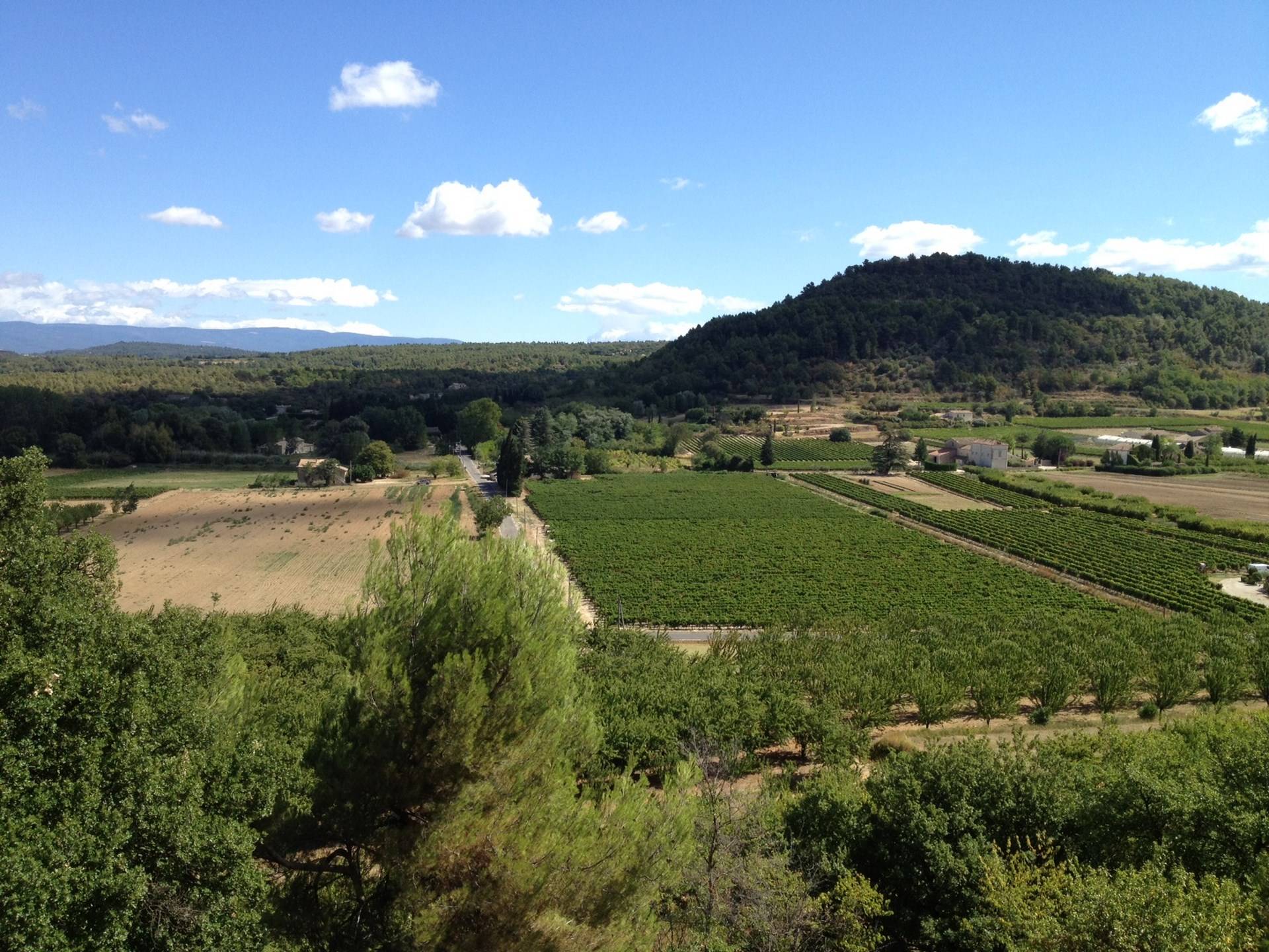 Demeure de Village  à vendre à Menerbes avec une superbe vue
