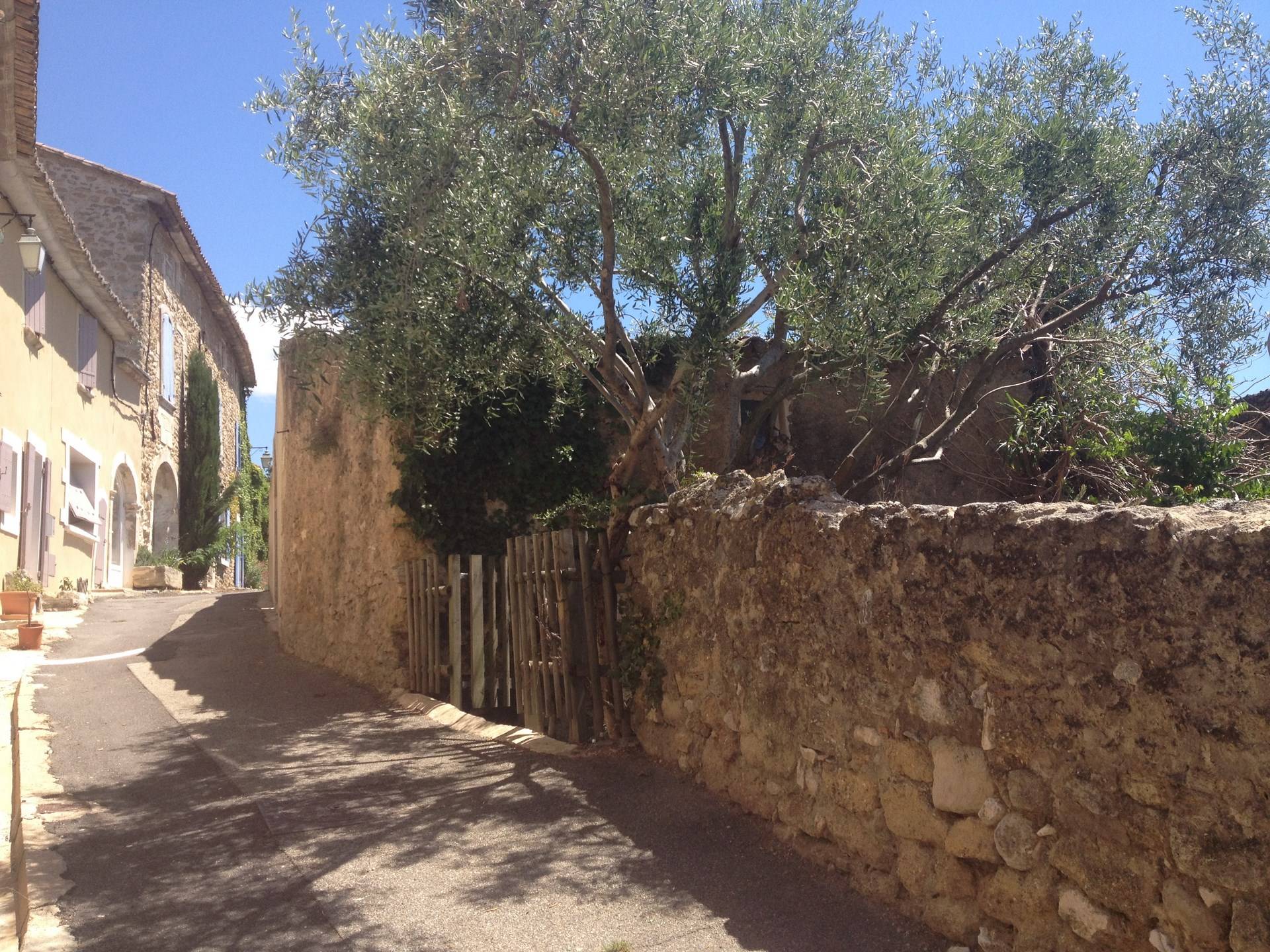 Maison de Village  à vendre à Menerbes divisée en boutique et appartements