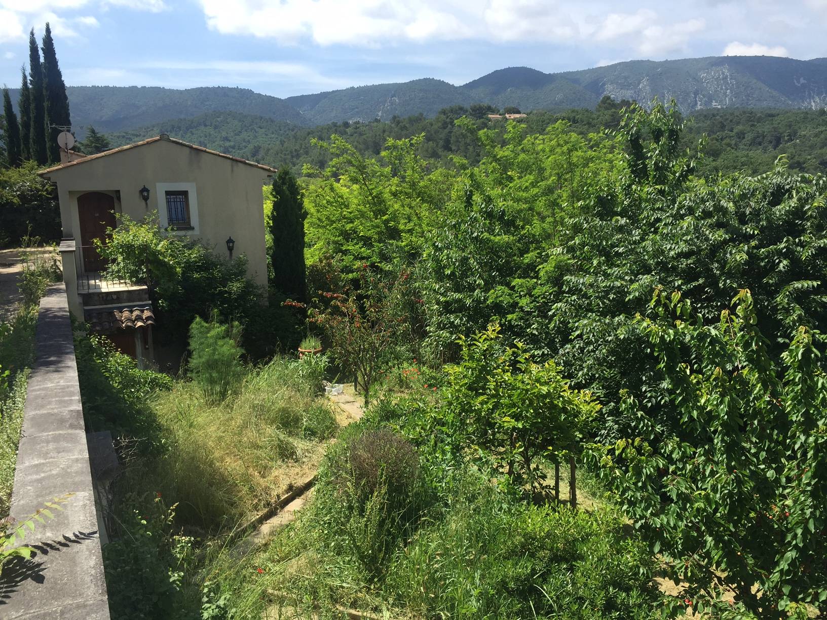 Maison de village à Menerbes avec maison d'amis jardin et piscine