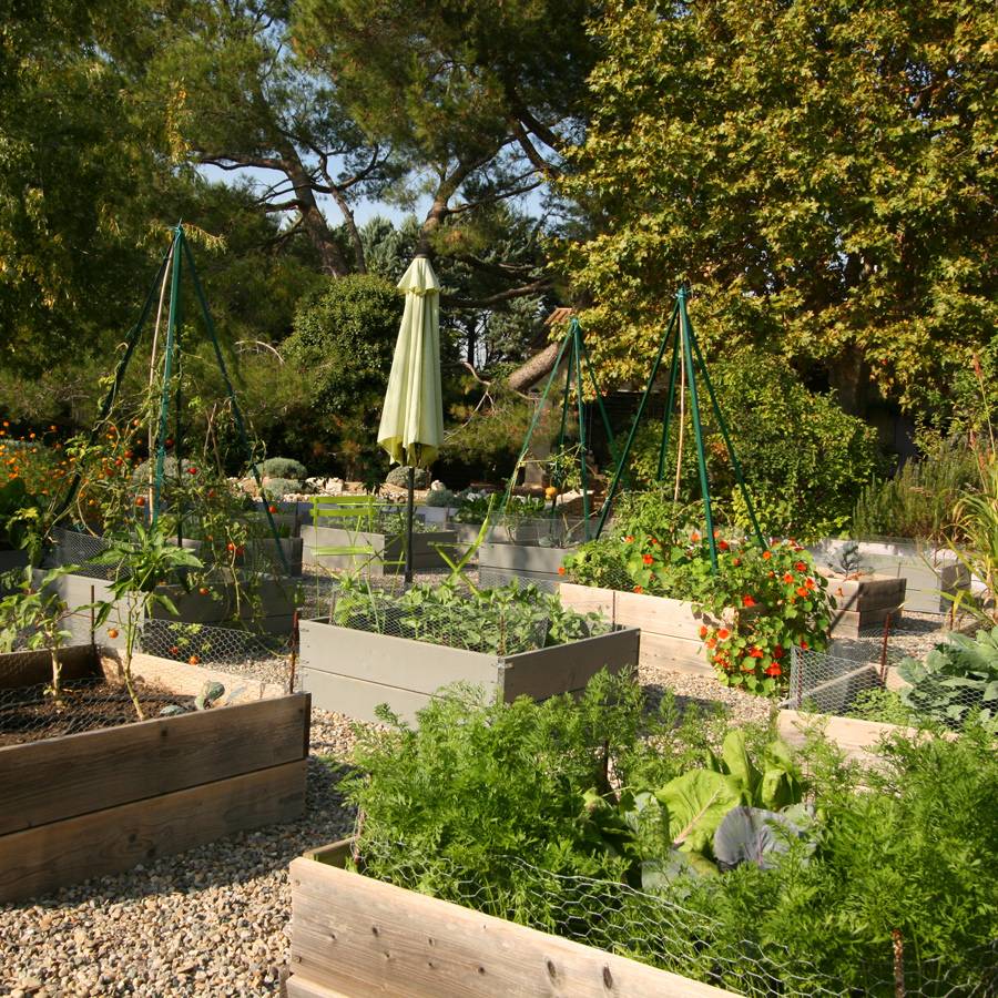 Superbe potager dans une propriété à vendre en Avignon