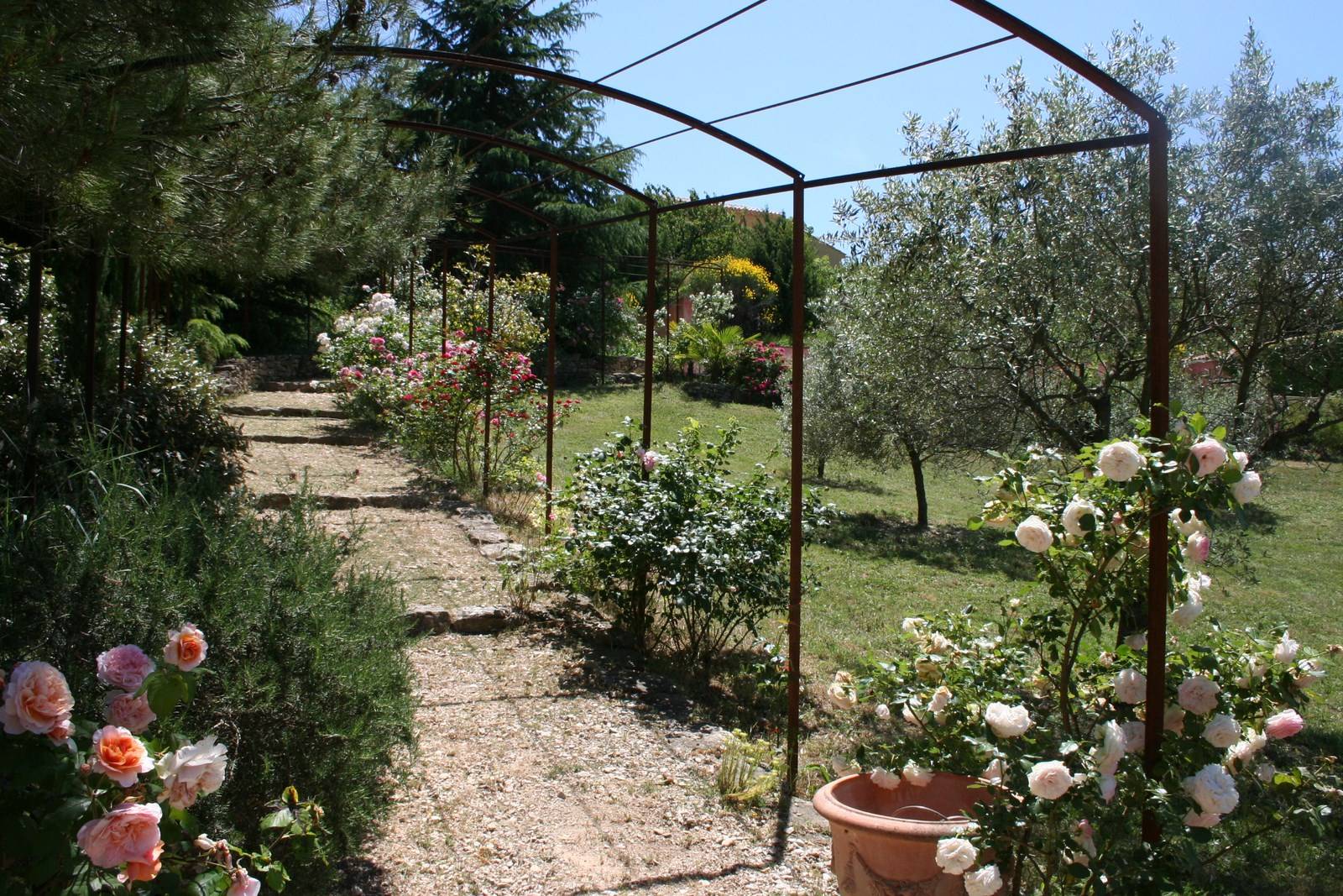 Jardin arboré dans le luberon