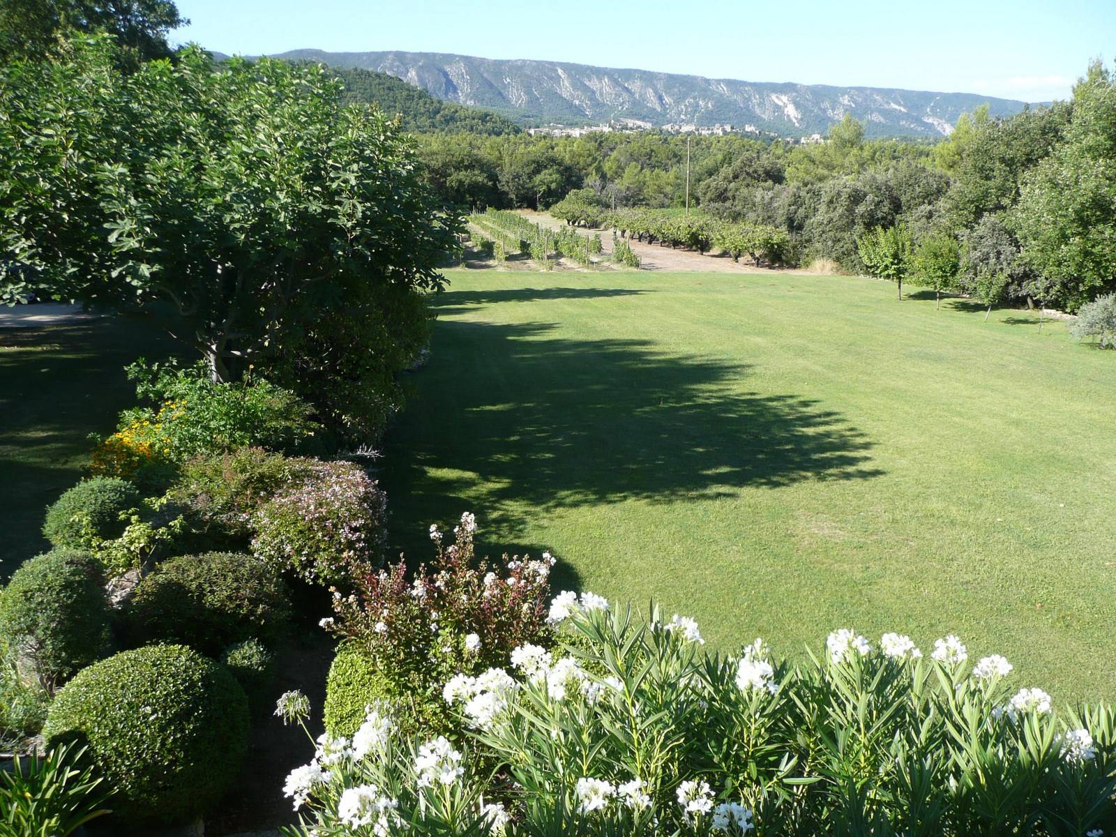 Maison contemporaine avec superbe vue sur le village de Menerbes