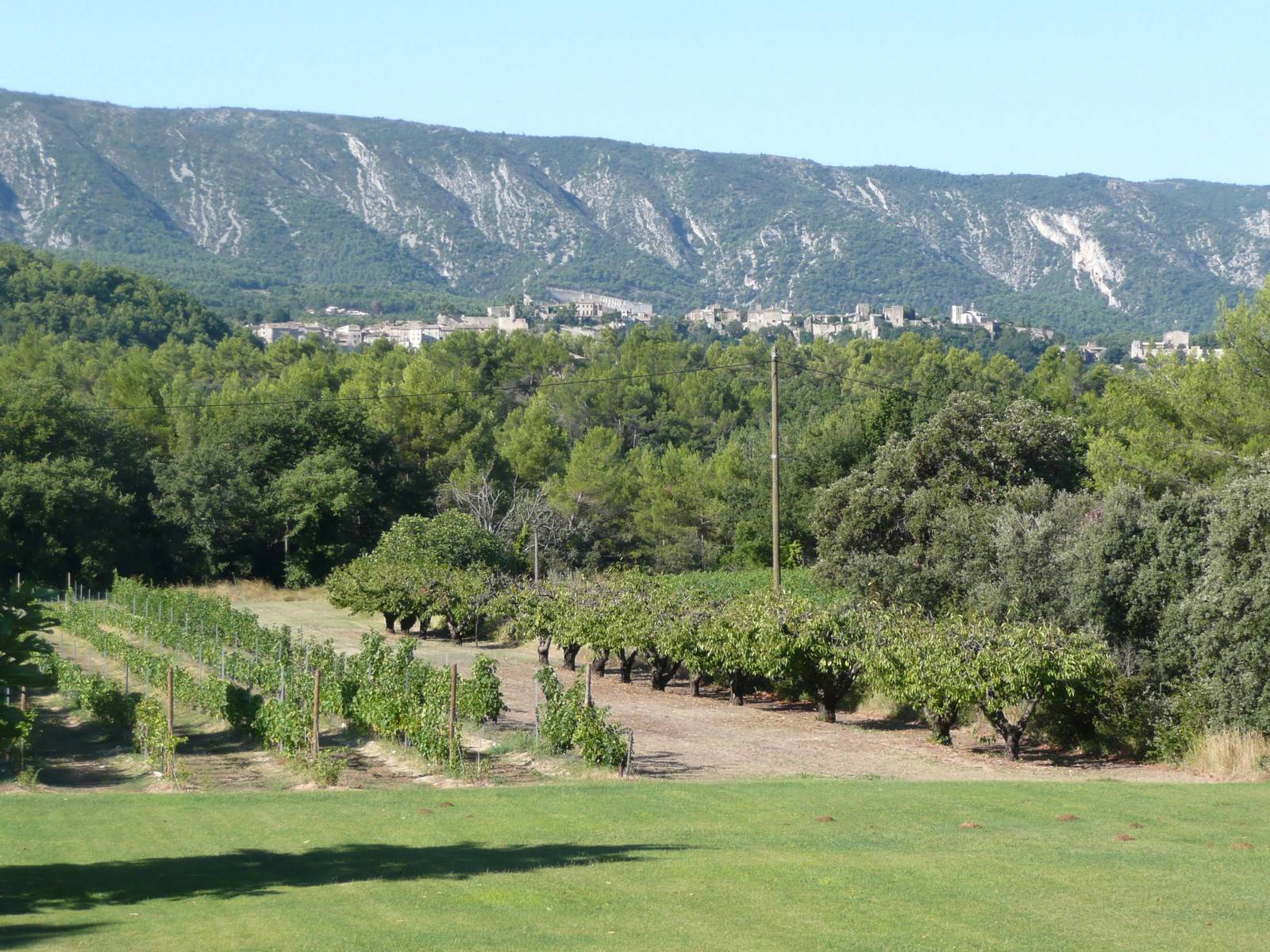 Villa à Menerbes avec vue sur le Luberon