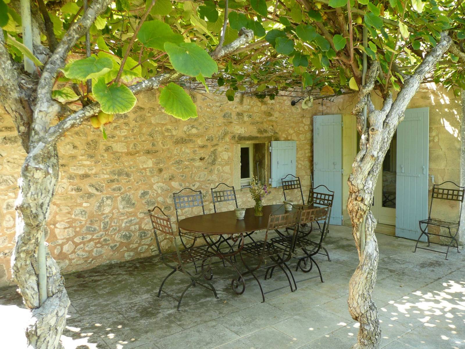 Terrasse à l'ombre d'un Kiwi à Lacoste dans le Luberon propriété à vendre