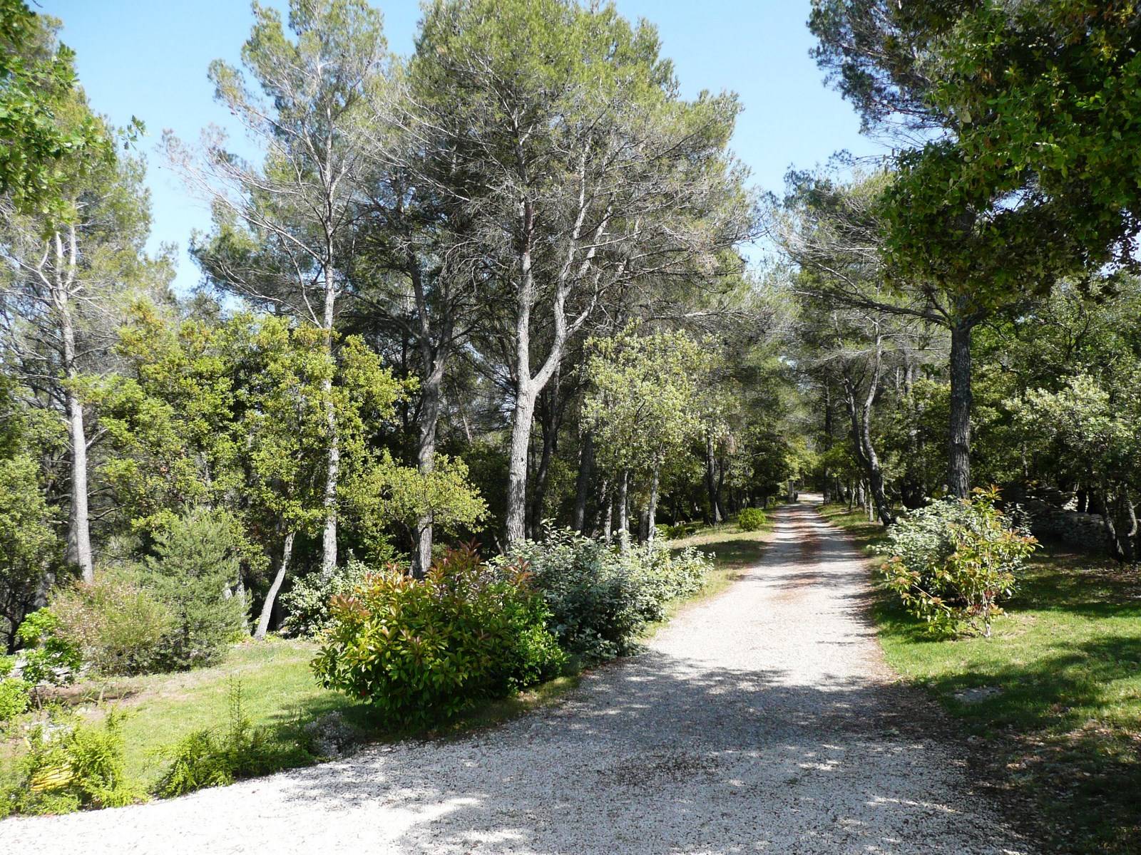 bergerie restaurée au milieu des chênes et des pins