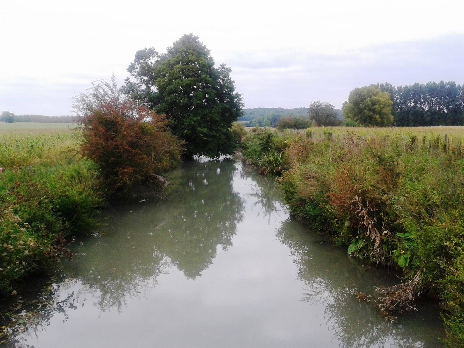 Moulin à la vente près de Chatellerault