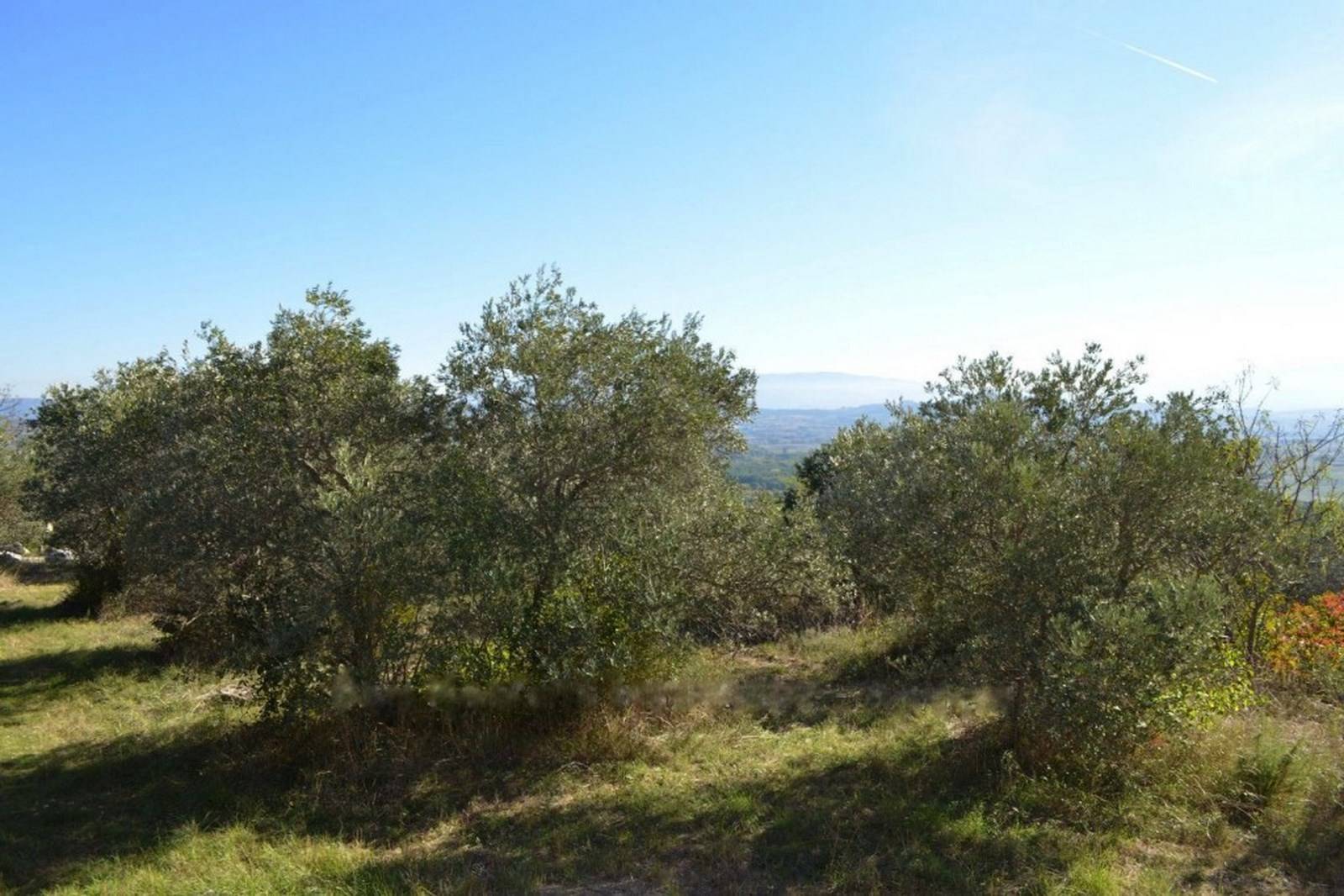 Maison en pierre sèche à vendre à Gordes avec une vue panoramique et terrain d'oliviers