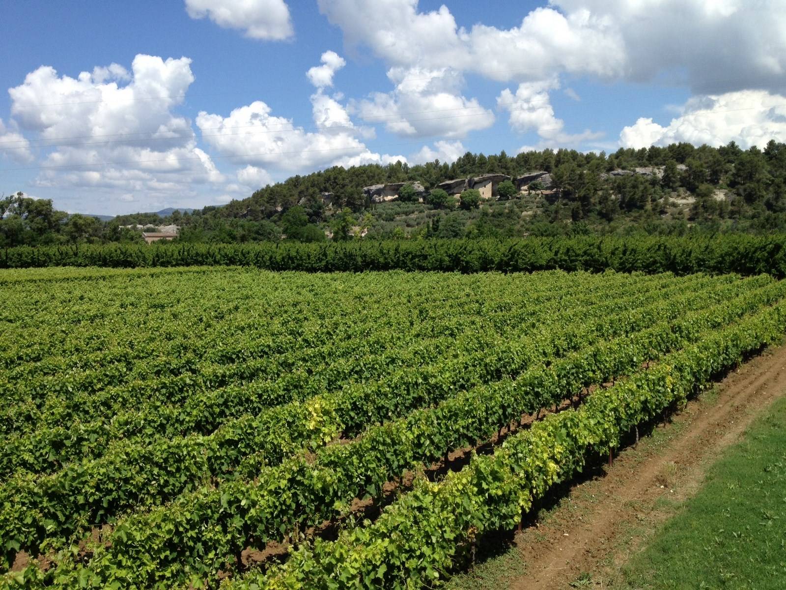 Mas en vente à Menerbes avec des vignes