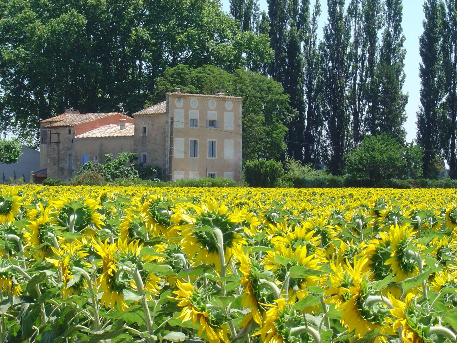 Propriété de prestige à vendre près de Nimes