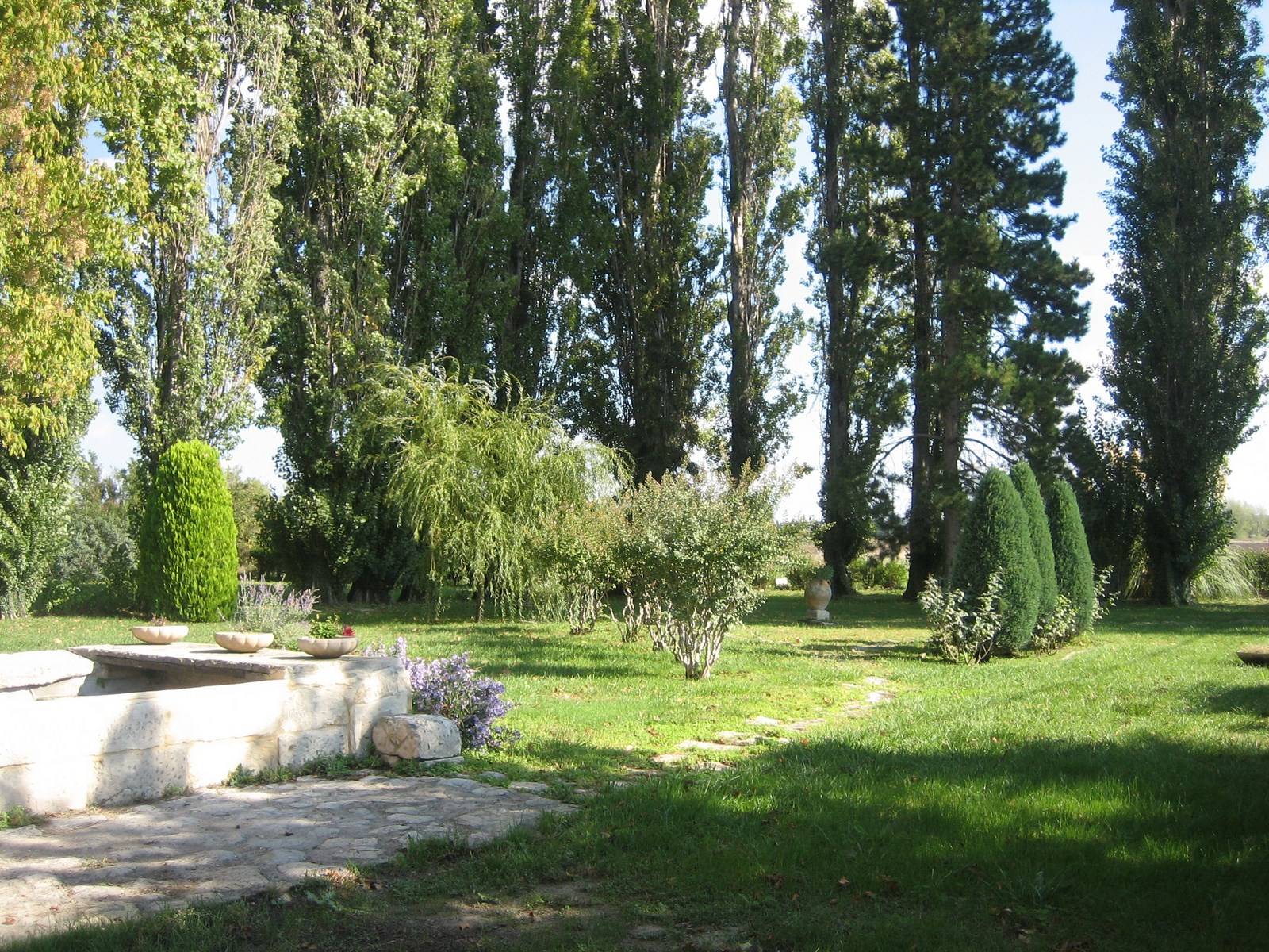 Propriété à vendre dans le Gard avec son parc arboré de platanes
