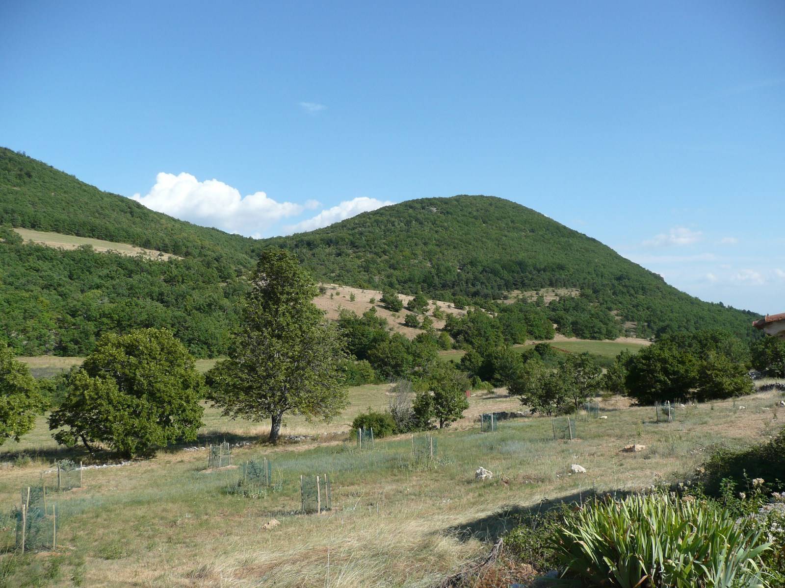 Alpes haute Provence maison de hameau avec jardin et piscine à vendre