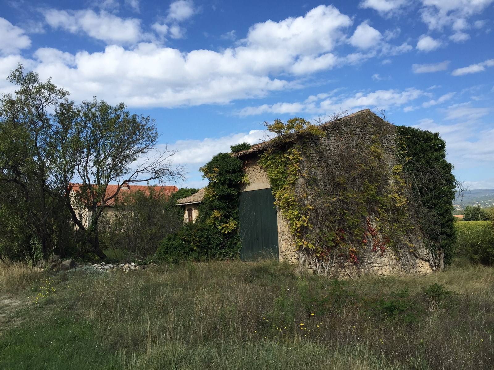 Ferme à restaurer à Menerbes