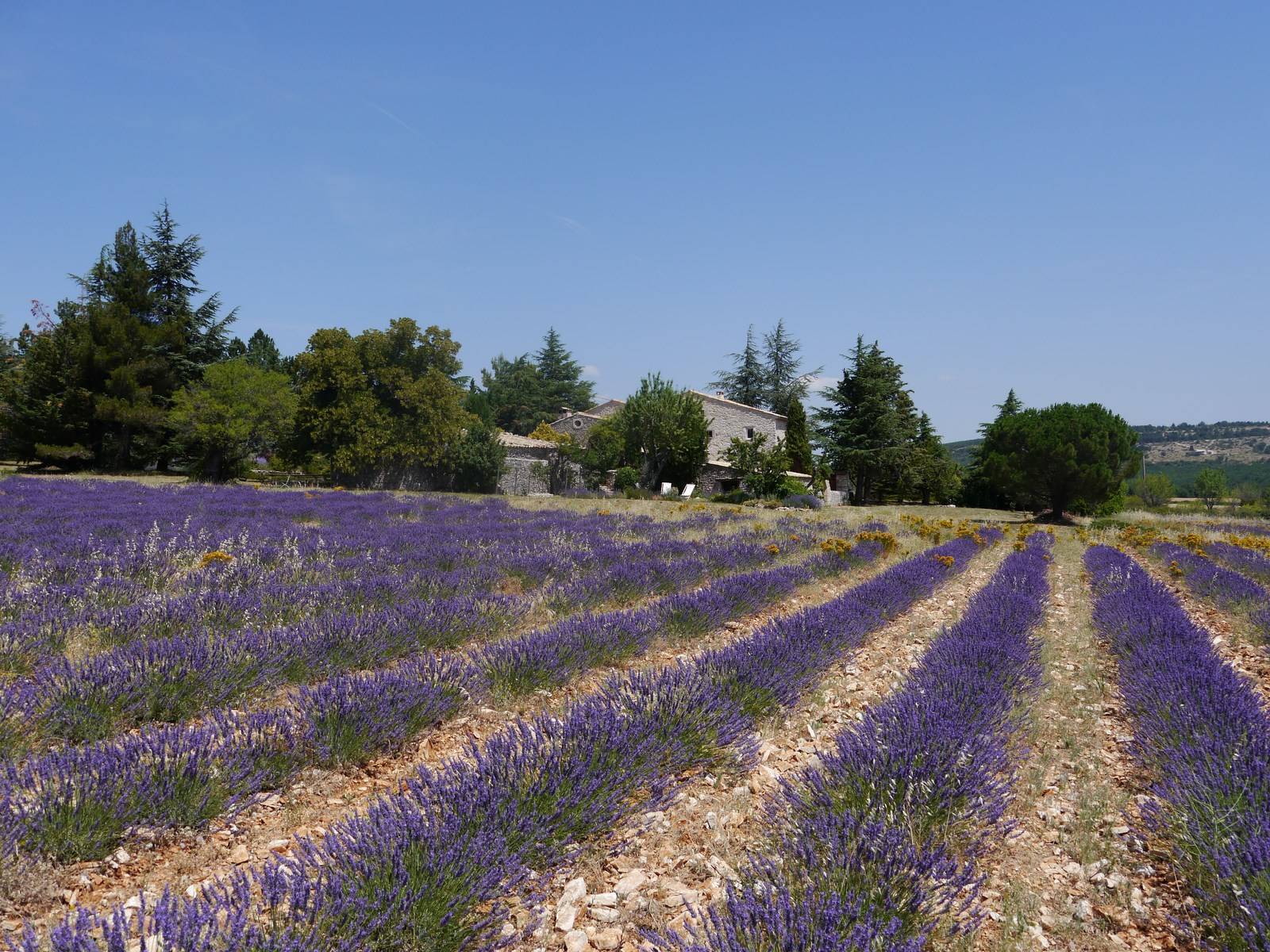 Immobilier simiane la rotonde