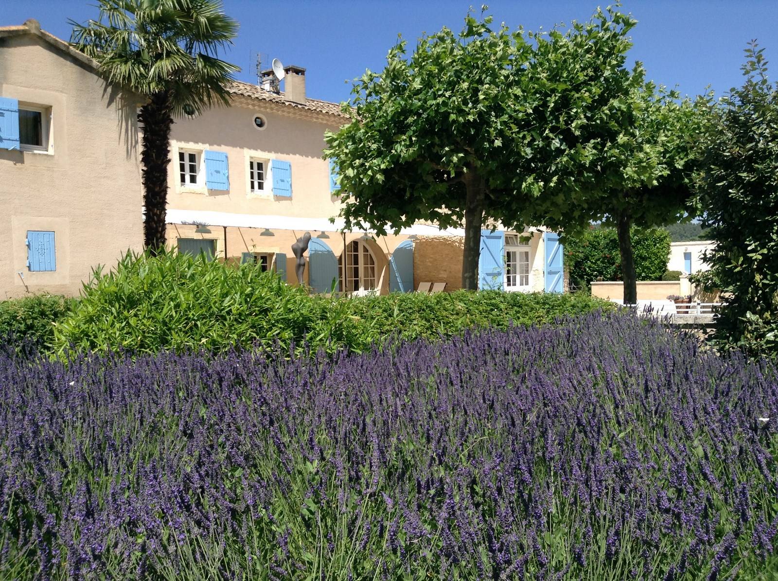 Mas à vendre à Menerbes