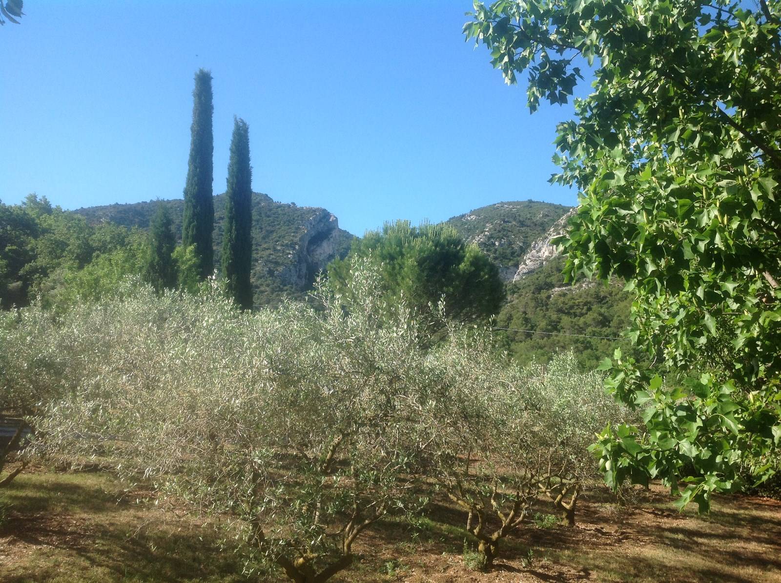 Propriété à vendre face au Luberon