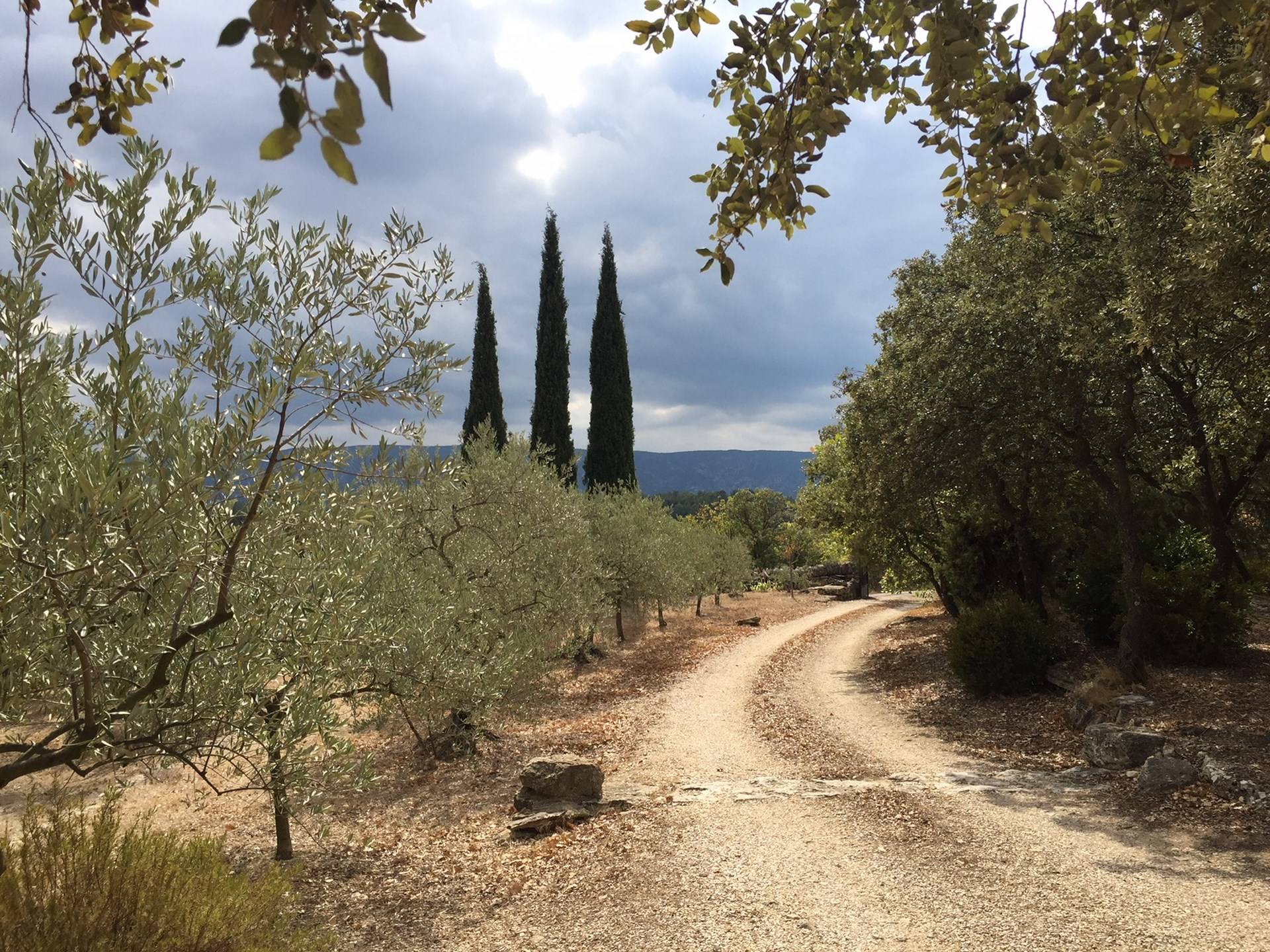 Gordes propriété avec vue