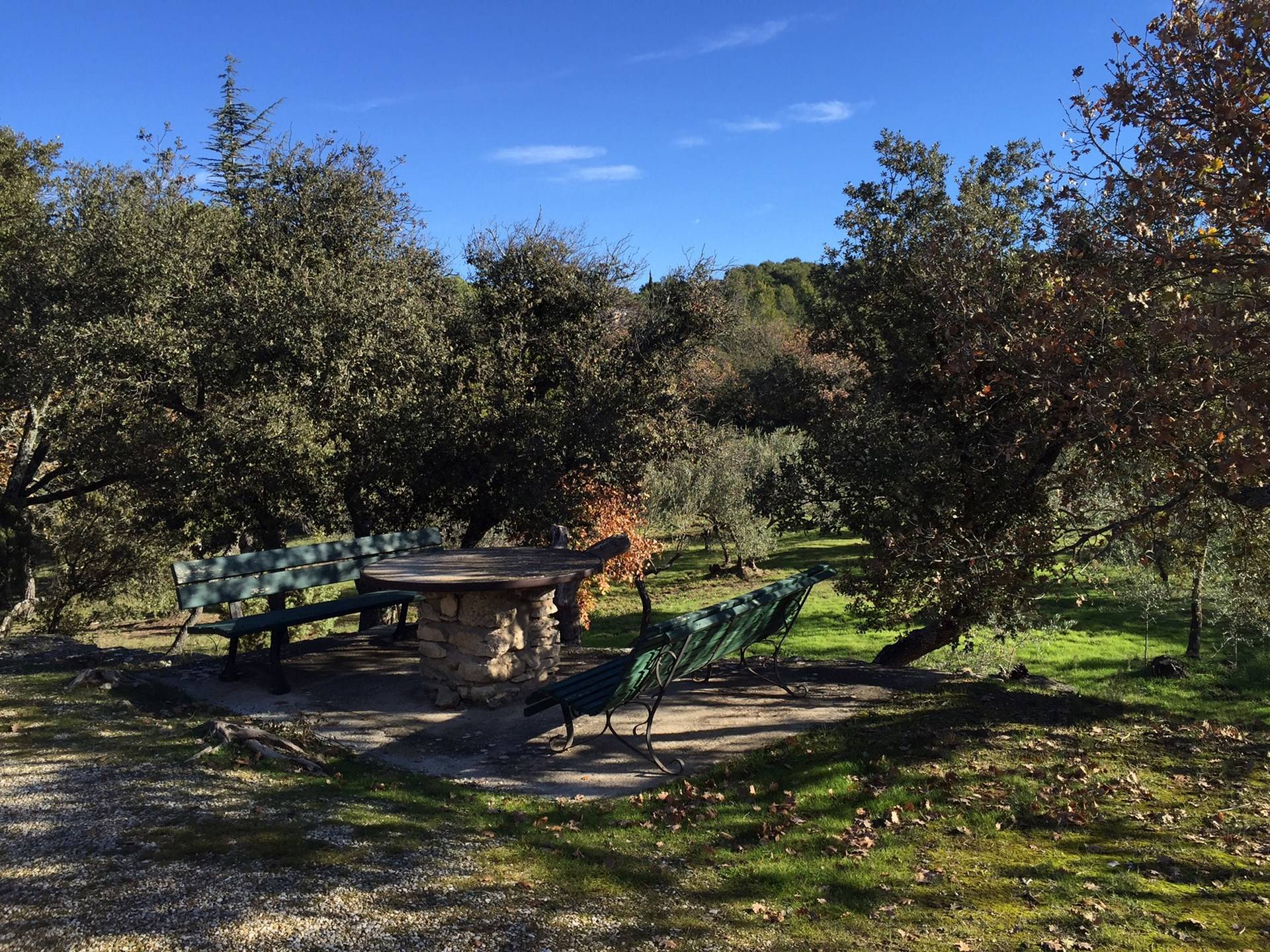 Maison dans une oliveraie en vente à Gordes