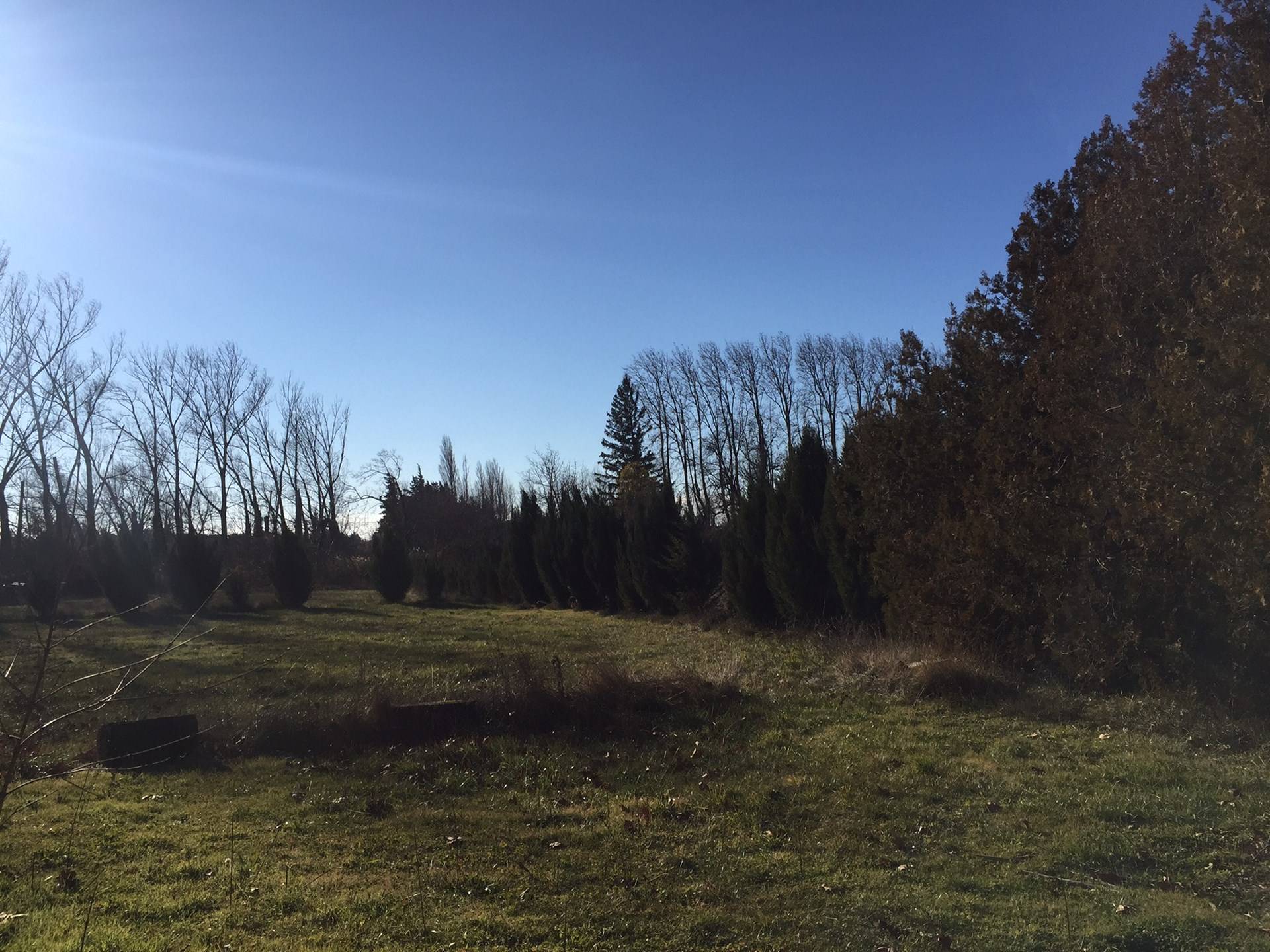 Bastidon à vendre à l'Isle sur la sorgue avec jardin et piscine