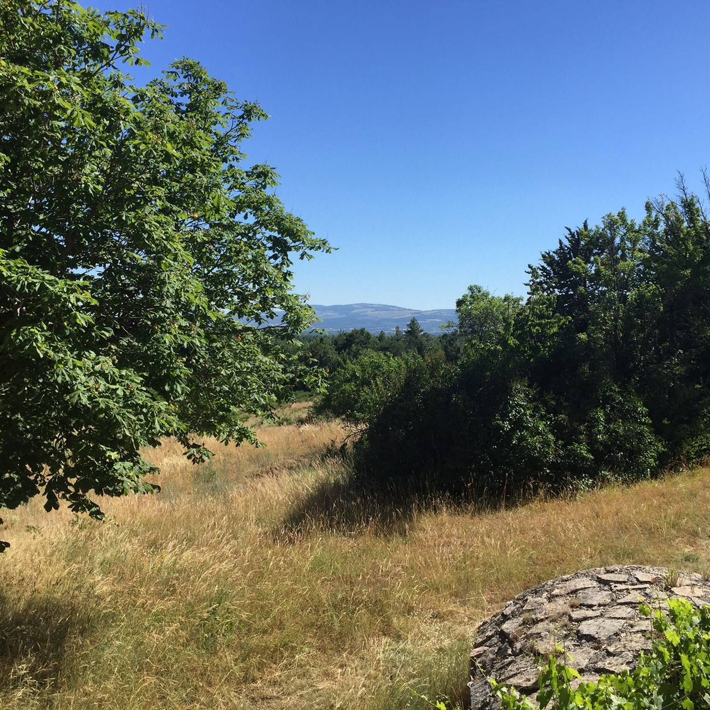 Alpes de Haute Provence domaine à la vente