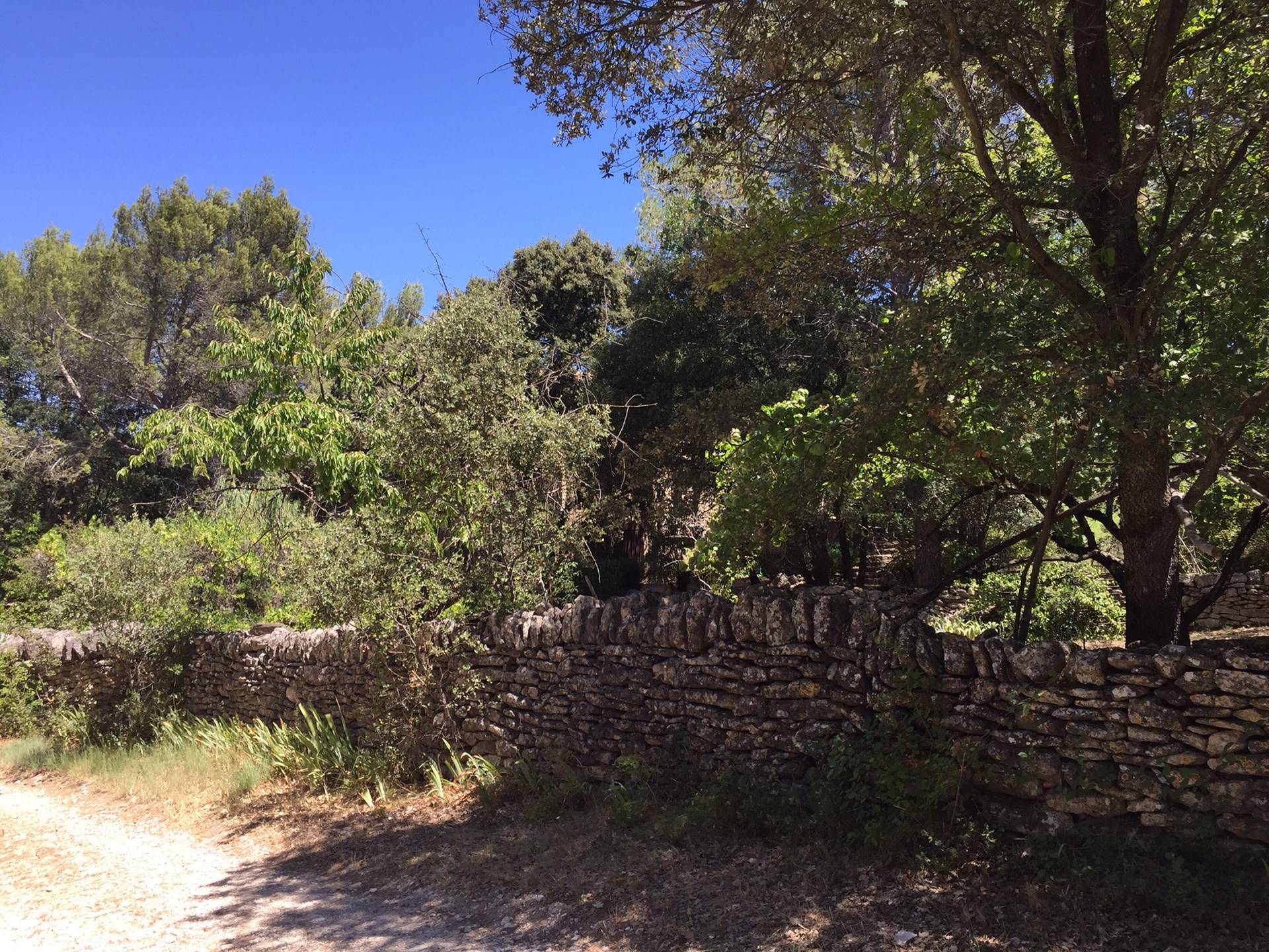 Maison en Pierre à vendre à Menerbes avec un jardin arboré et une piscine