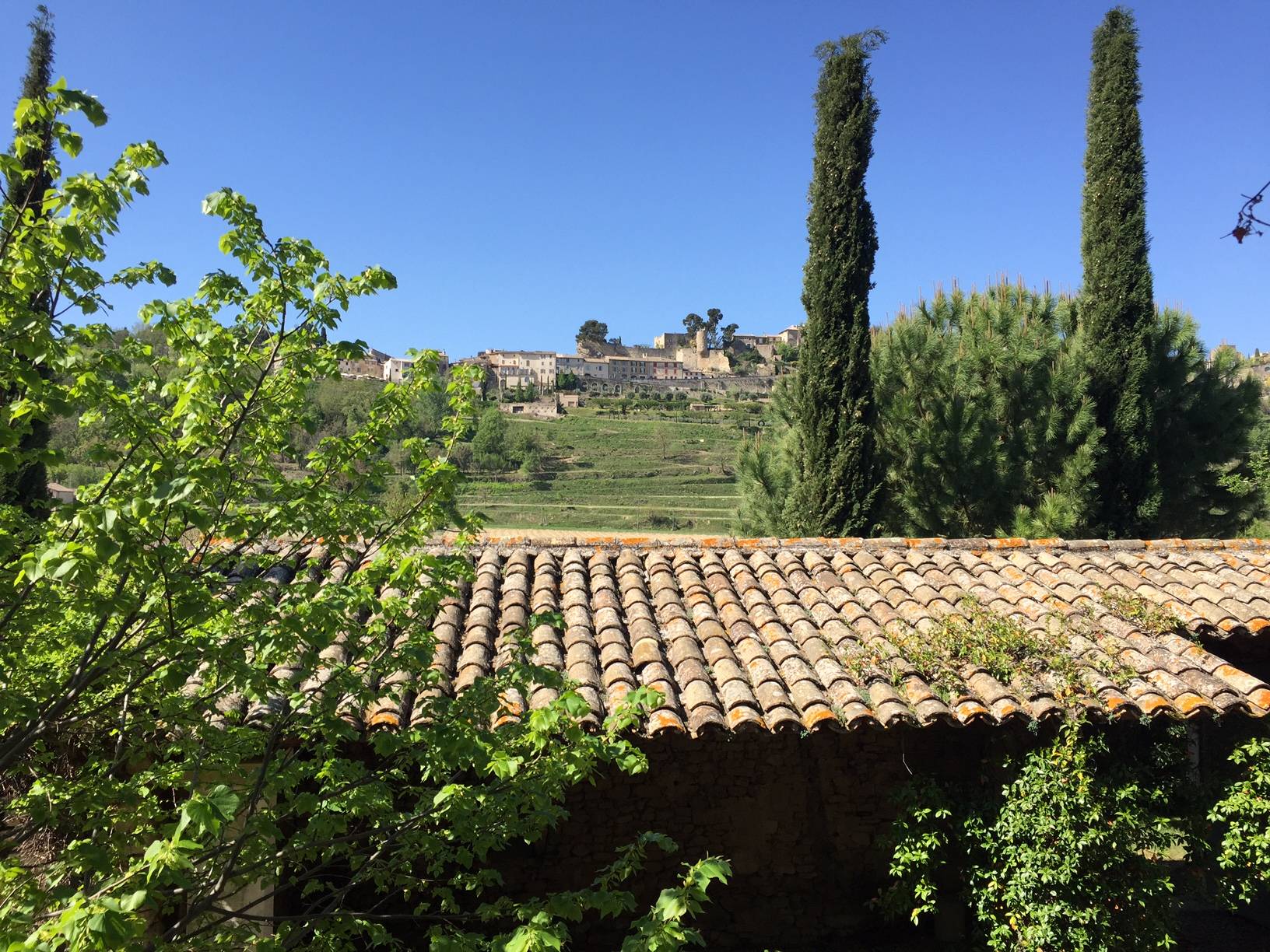 Bastide à vendre à Menerbes