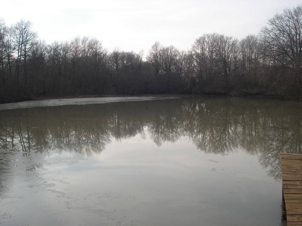 Propriété de chasse à la vente en Sologne