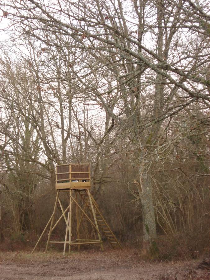 Propriété de Chasse de 24 hectares à vendre en Sologne avec deux maisons restaurées et un étang