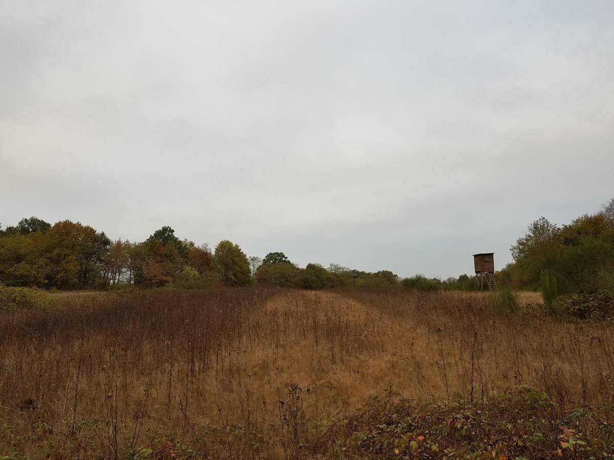 Propriété de chasse en vente dans le Loiret