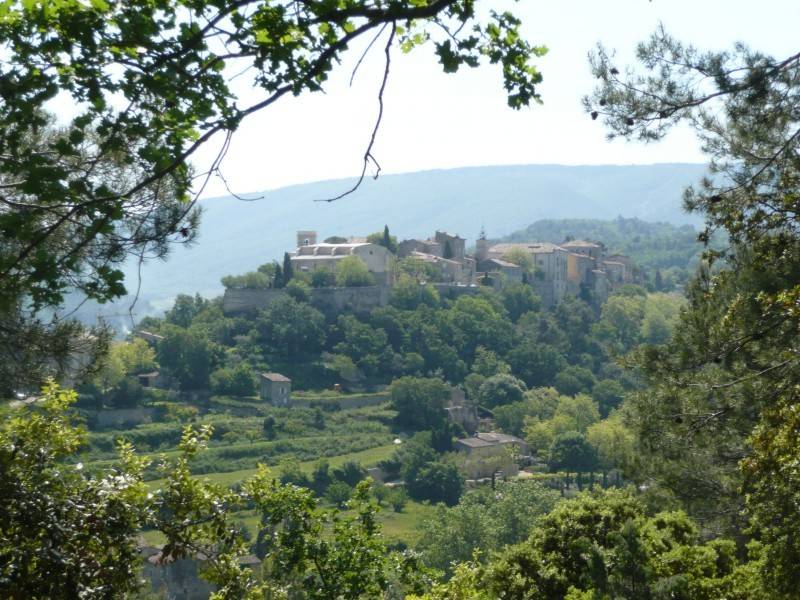 Maison en Pierre à vendre à Menerbes avec un jardin et une piscine
