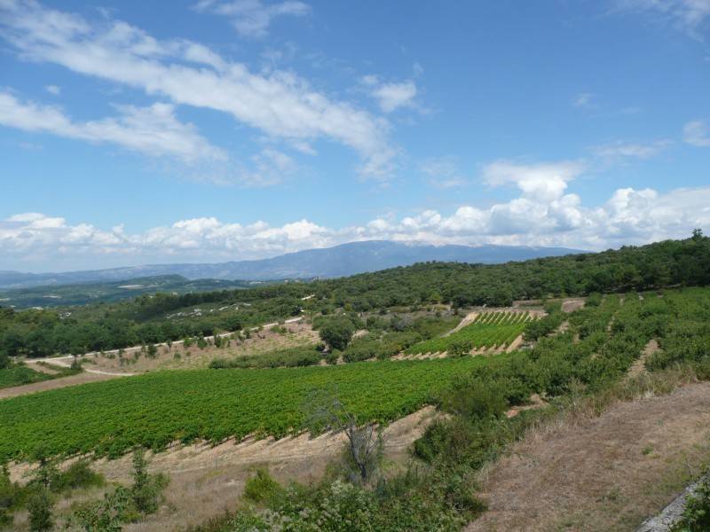Ancienne bergerie restaurée à vendre à Venasque avec jardin et piscine